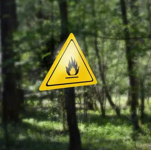 Waldbrandgefahr