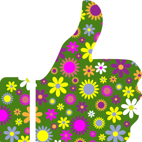 Projekt zur Wasserknappheit im Kleingarten &ndash; Ergebnisse und Brosch&uuml;re