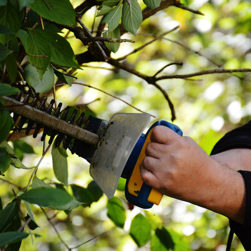 7. und letzter Arbeitseinsatz